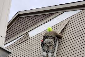 Storm Damage Siding Repair in Jasmine Estates, FL